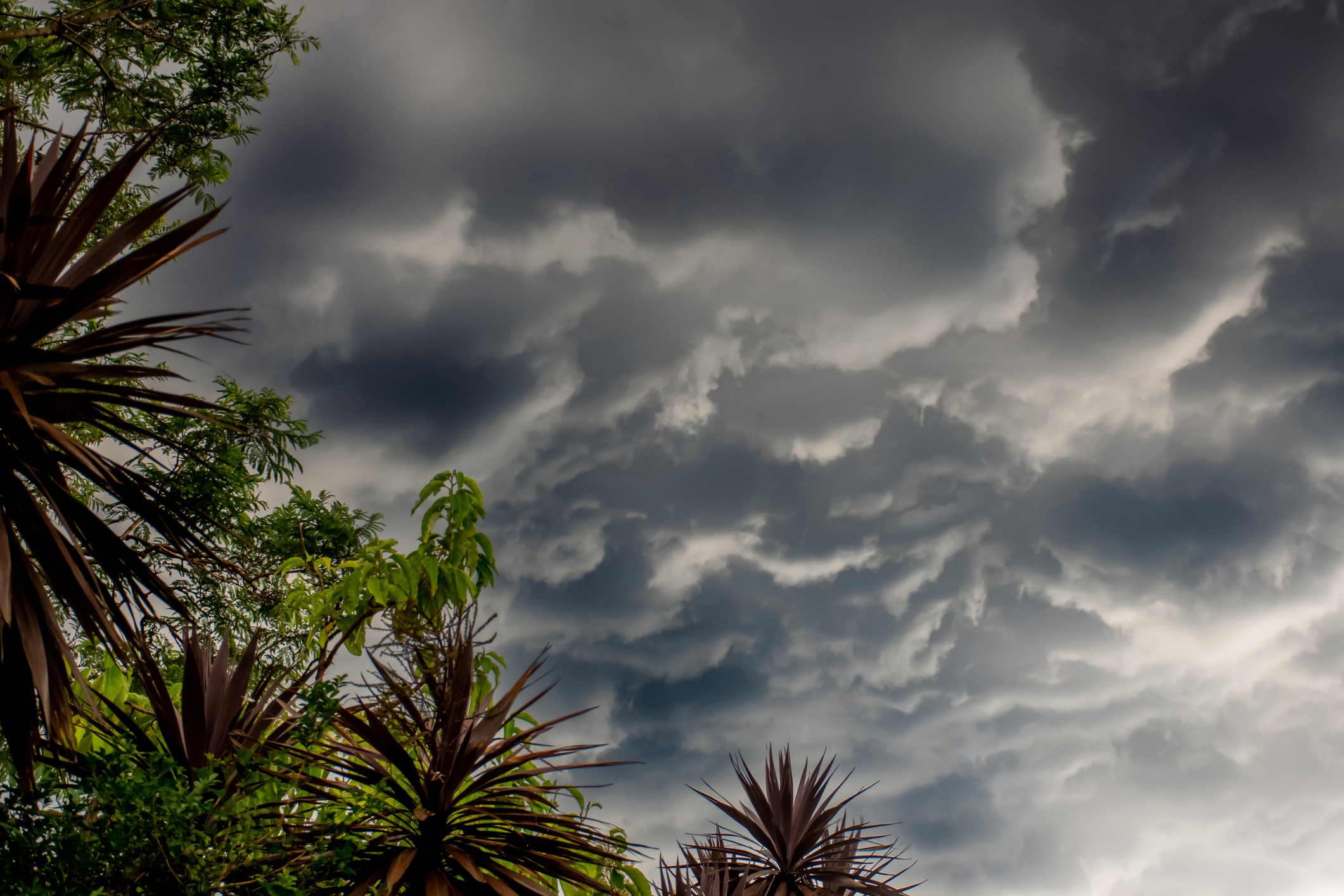 Storm Clouds