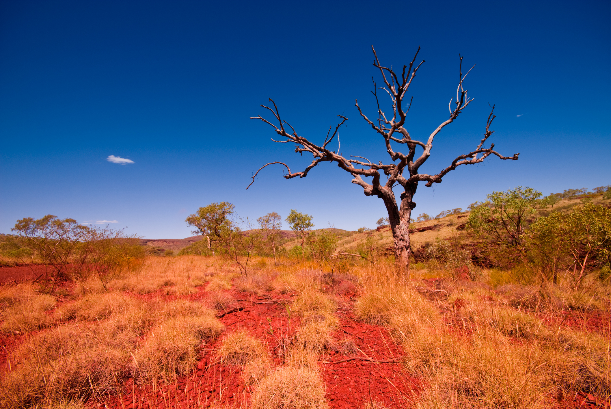 Outback Karijini National Park