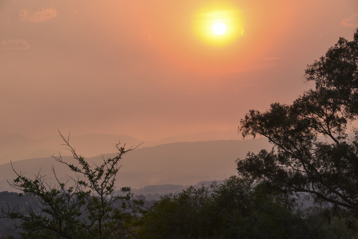 A smoke haze behind silhouettes of trees.