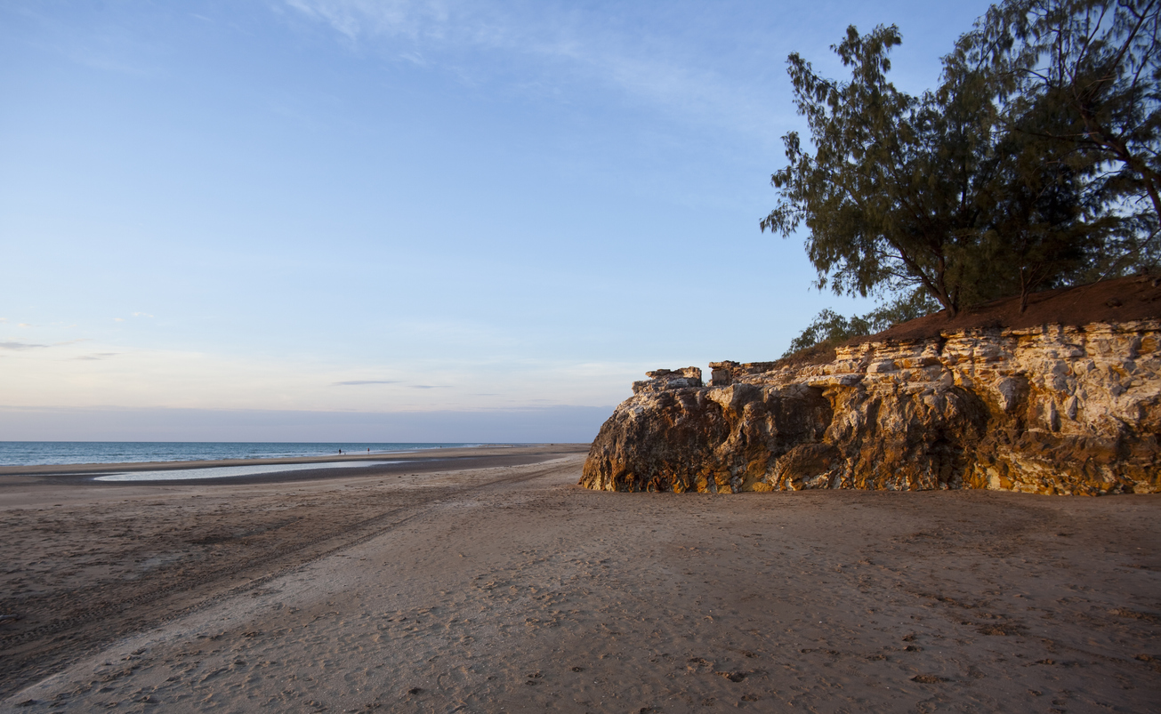 A picture of Casuarina beach in Darwin with the tide out and soft sand visible before a rocky small cliff covered in a big tree.