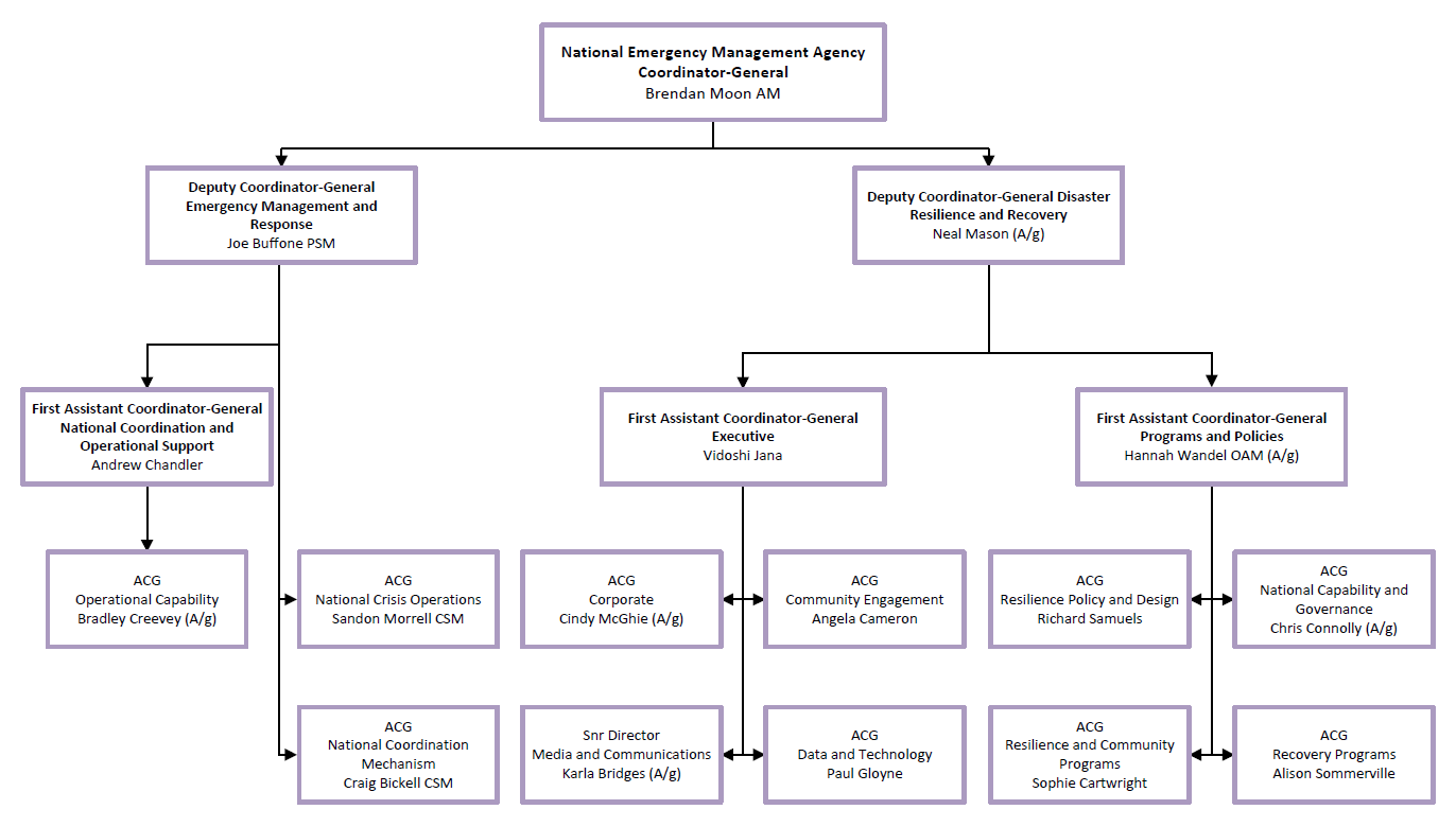 An organisational chart showing the structure of the National Emergency Management Agency Executive leadership.