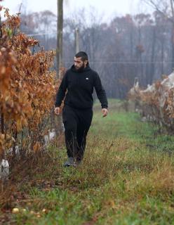 A photo of a man walking through an orchard