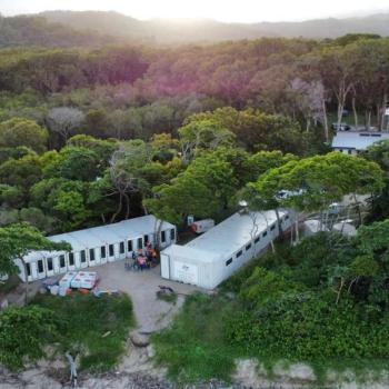 Two white emergency temporary housing units sit amongst green trees in a bushland area. 