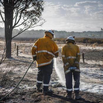 Firefighters stand with hose watering damp ground after a fire.