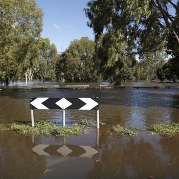 A road and grass flooded with brown water. 