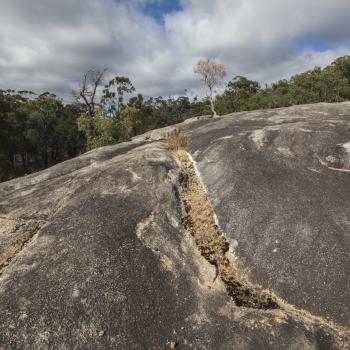 A large boulder with a crack through the middle. Trees visible in the background.