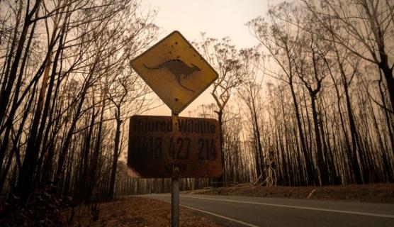 2019–20 Black Summer bushfires