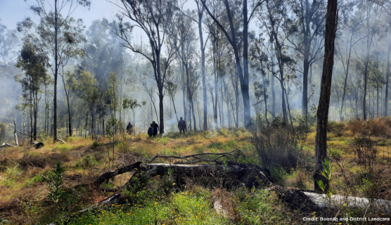 Cultural burning: Fighting fire with fire