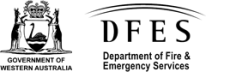 dfes logo