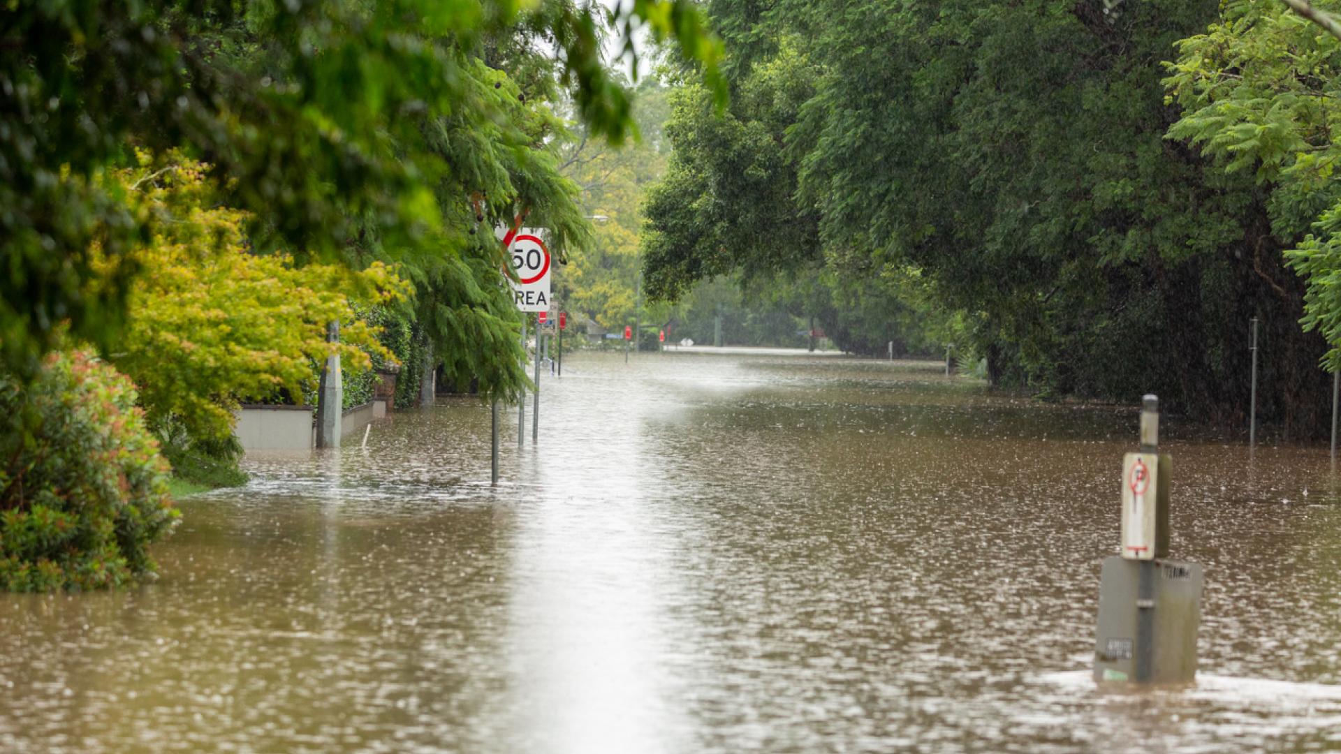 A leafy suburban road flooded with brown water, the top of a 50km/ph speed limit sign is visible.