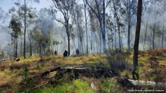 A photo of burned out bushland