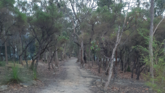 Walkabout Fire Trail upgrade: Protecting culture, community and wildlife