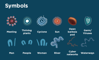 An image explaining the symbols contained within the indigenous artwork