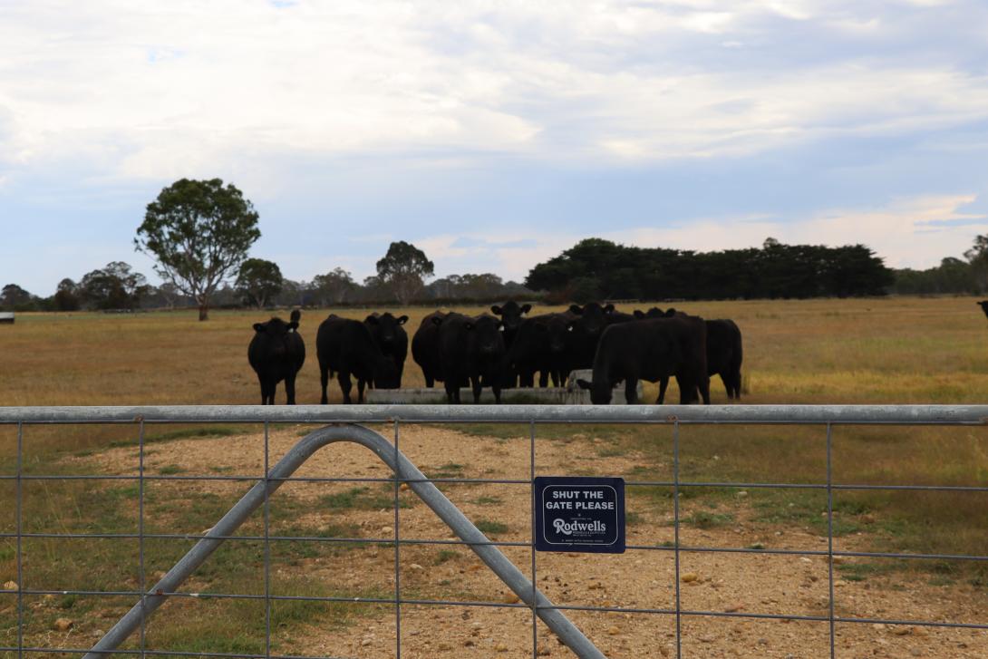 The Gippsland Agricultural Centre 